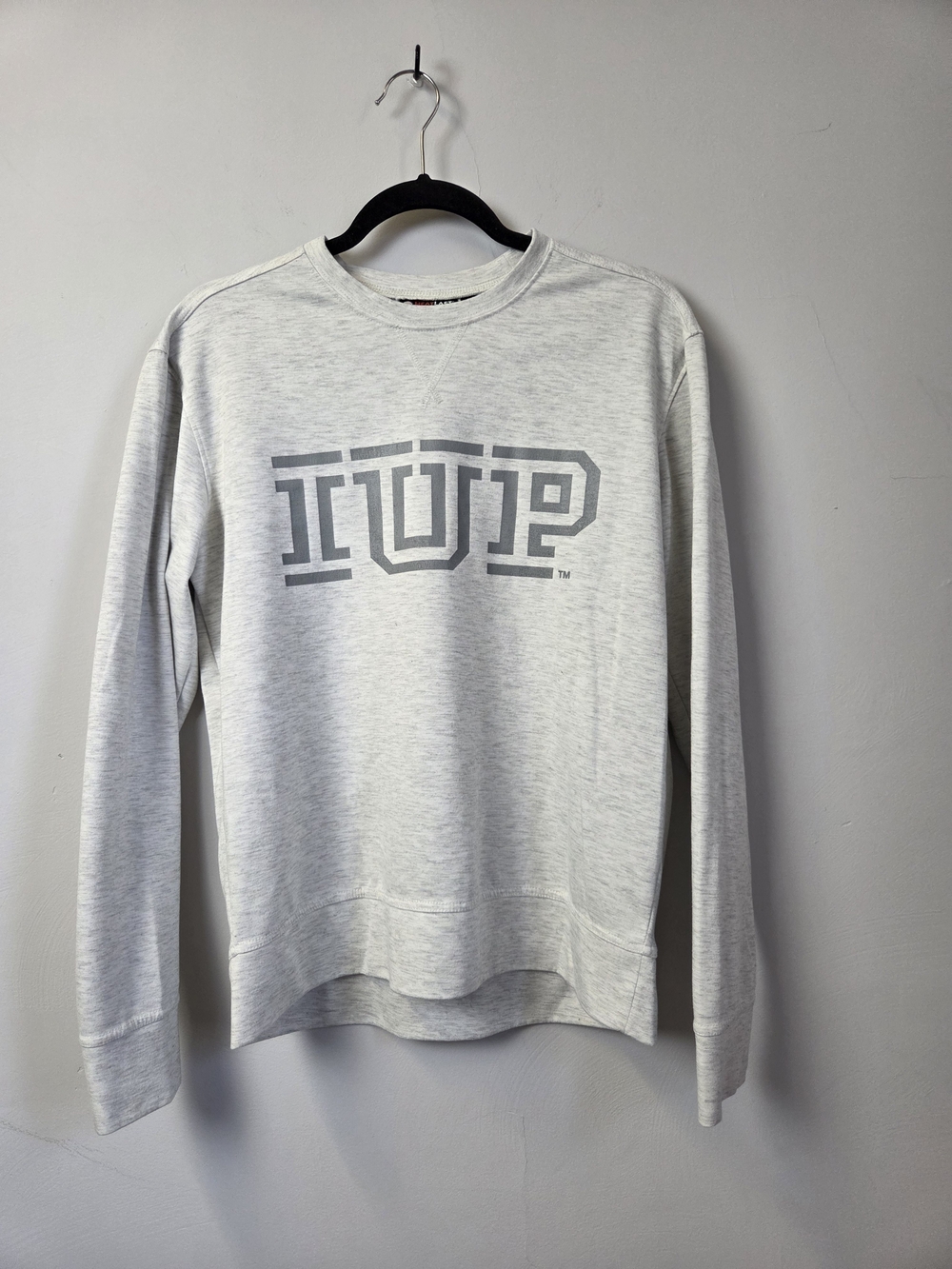 Light Gray Crewneck Sweatshirt with Block Graphic